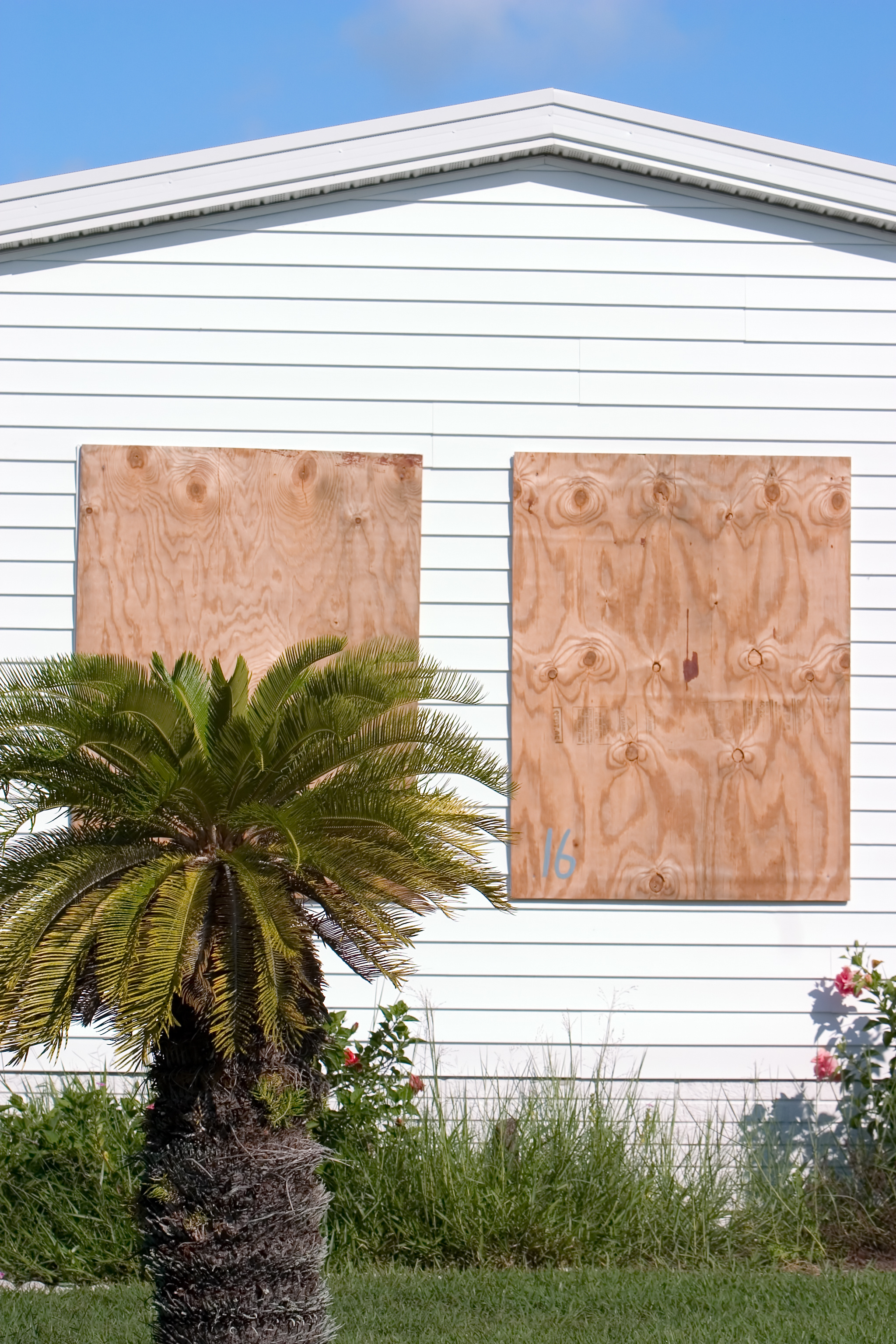 The Worst Hurricane Protection Options for Your Home
