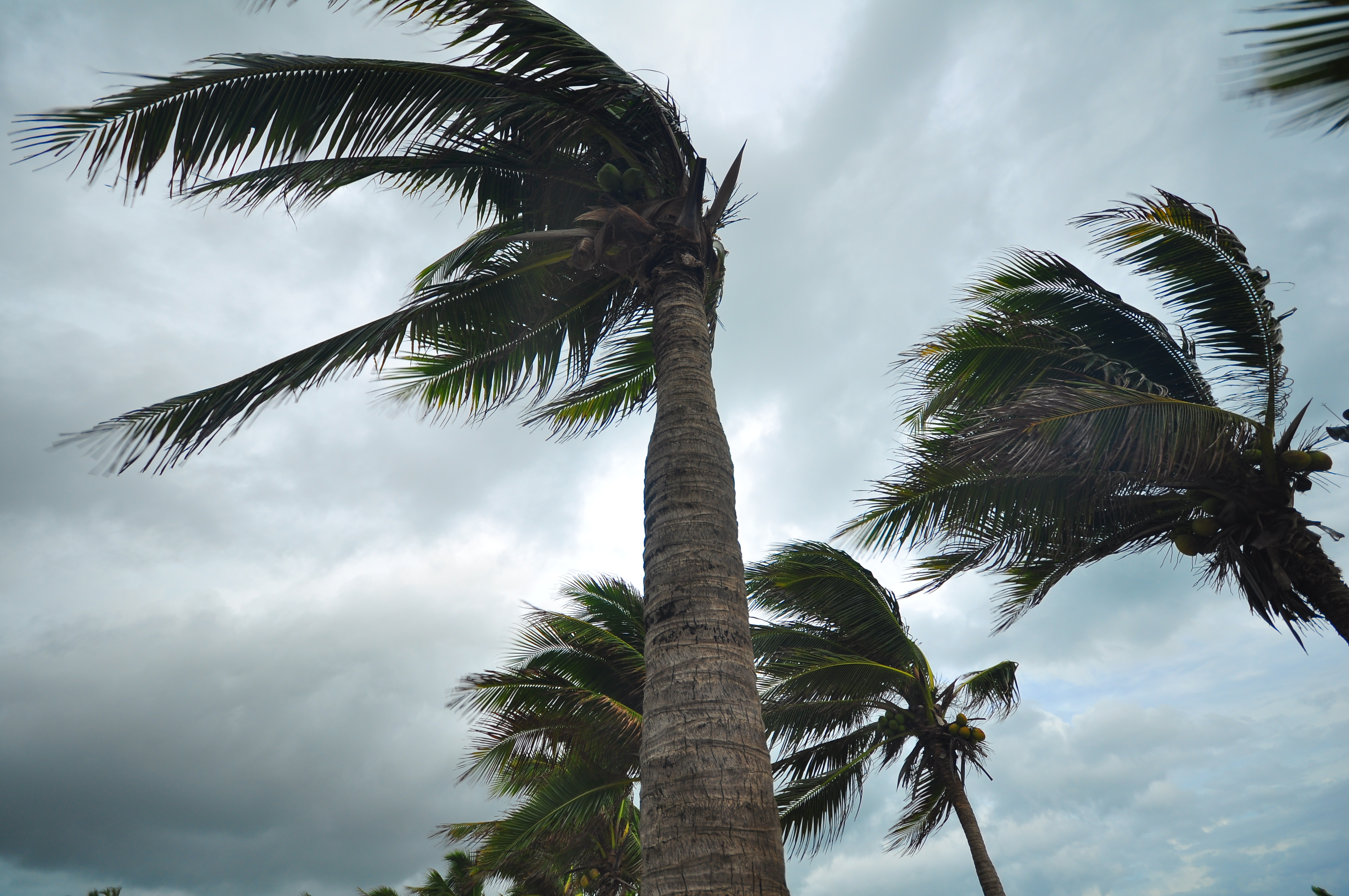 What to Expect During Hurricane Season 2023