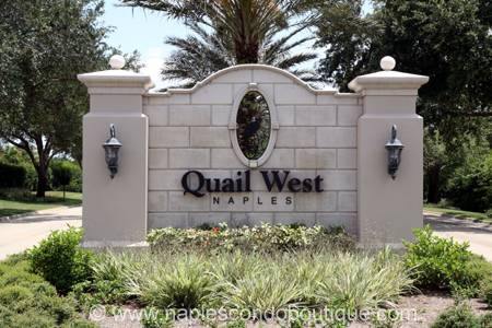 Community Spotlight: Quail West