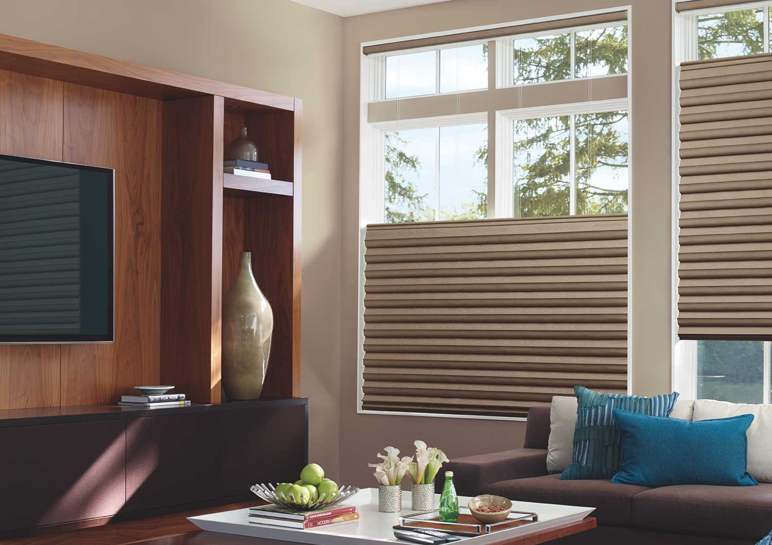 Product Spotlight: Hunter Douglas Solera Soft Shades