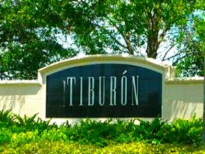 Community Spotlight: Tiburón